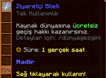 Dosya:Ziyaretçi Bileti.png