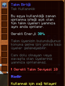Takım Birliği