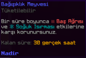 Bağışıklık Meyvesi Güncel.png