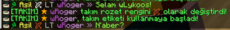 Takım Rozeti Renk