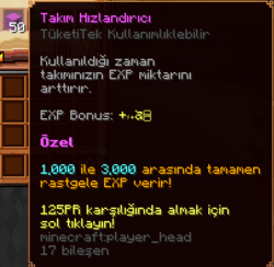 Takım Hızlandırıcı