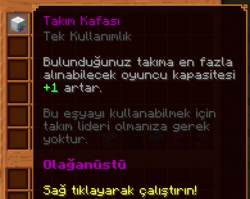 Takım Kafası
