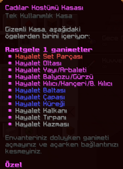 Cadılar Kostümü